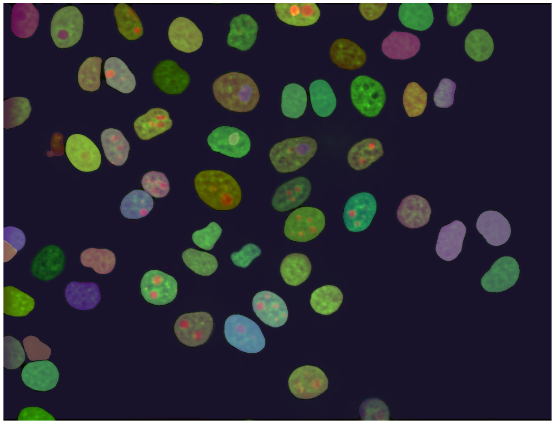 Cells_selection_mask