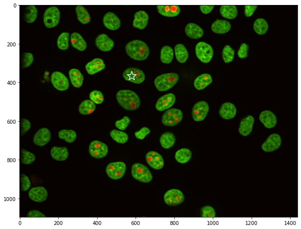 Cells_selection